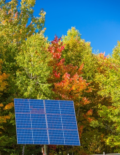 photovoltaic-panels-in-the-fall-1526997892mLu.jpg