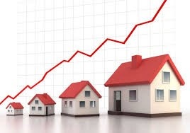 reality price.jpg