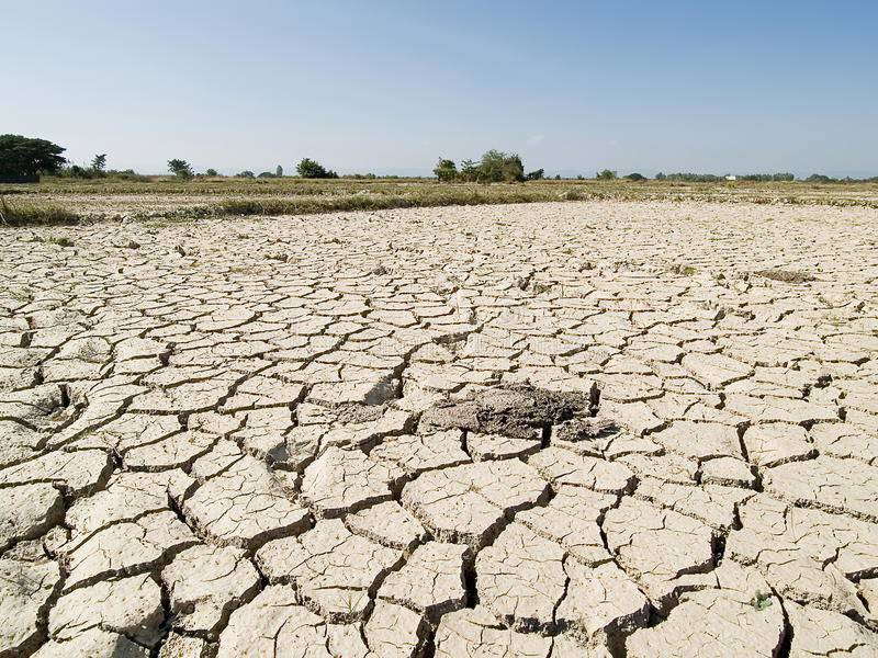 terra-secca-causa-di-nessun-acqua-26454983.jpg