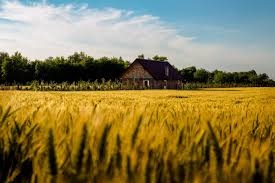 Agricoltura.jpg