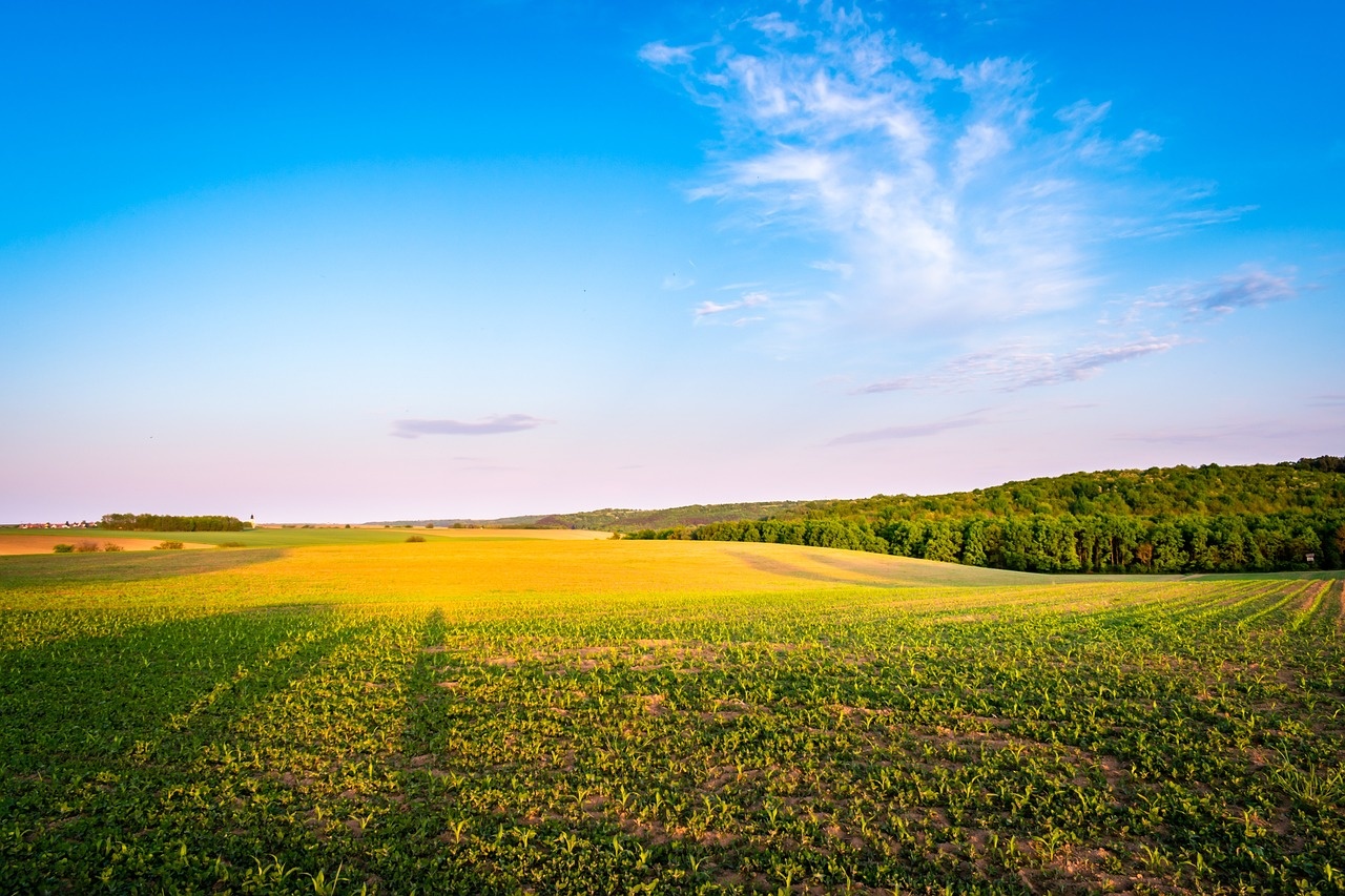 agricultural-7277520_1280.jpg