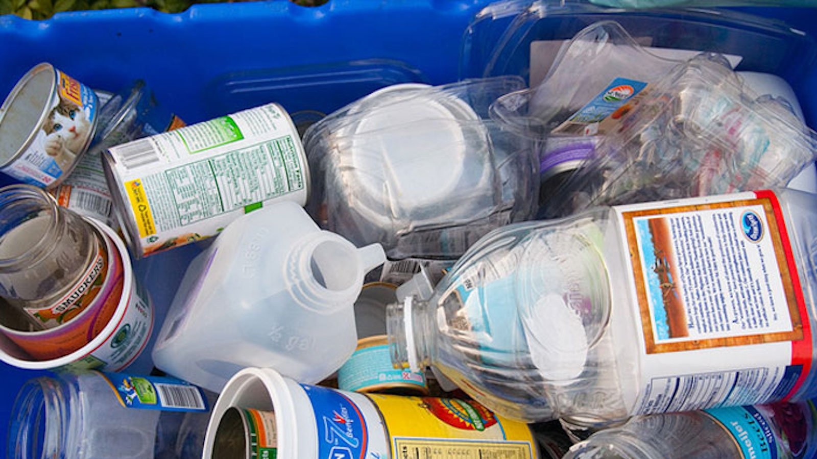CAP_truthful-recycling-091721_Steve-Depolo_CC-By-3.0.jpg