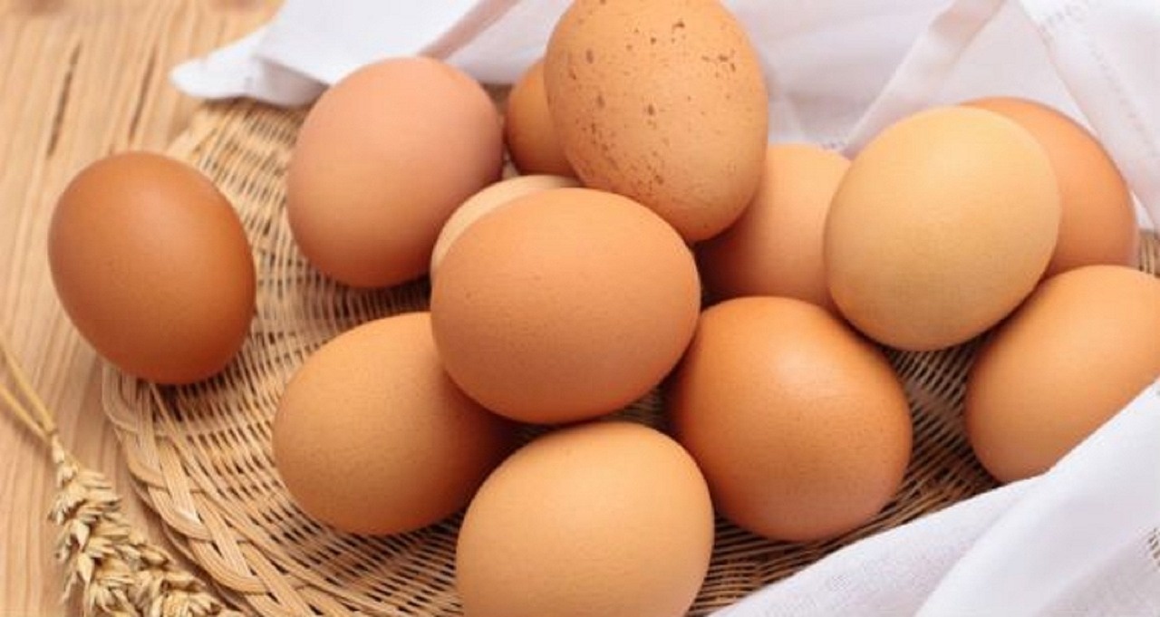 egg-2060064_1280.jpg