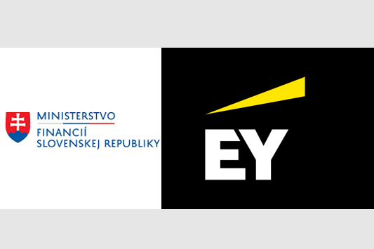 ey + ministero economia.png