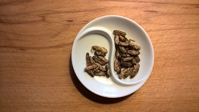 food-2499717_640.jpg