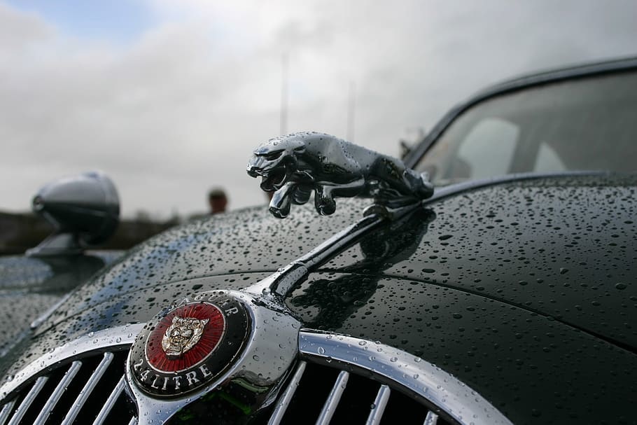 jaguar-car-vintage-classic.jpg