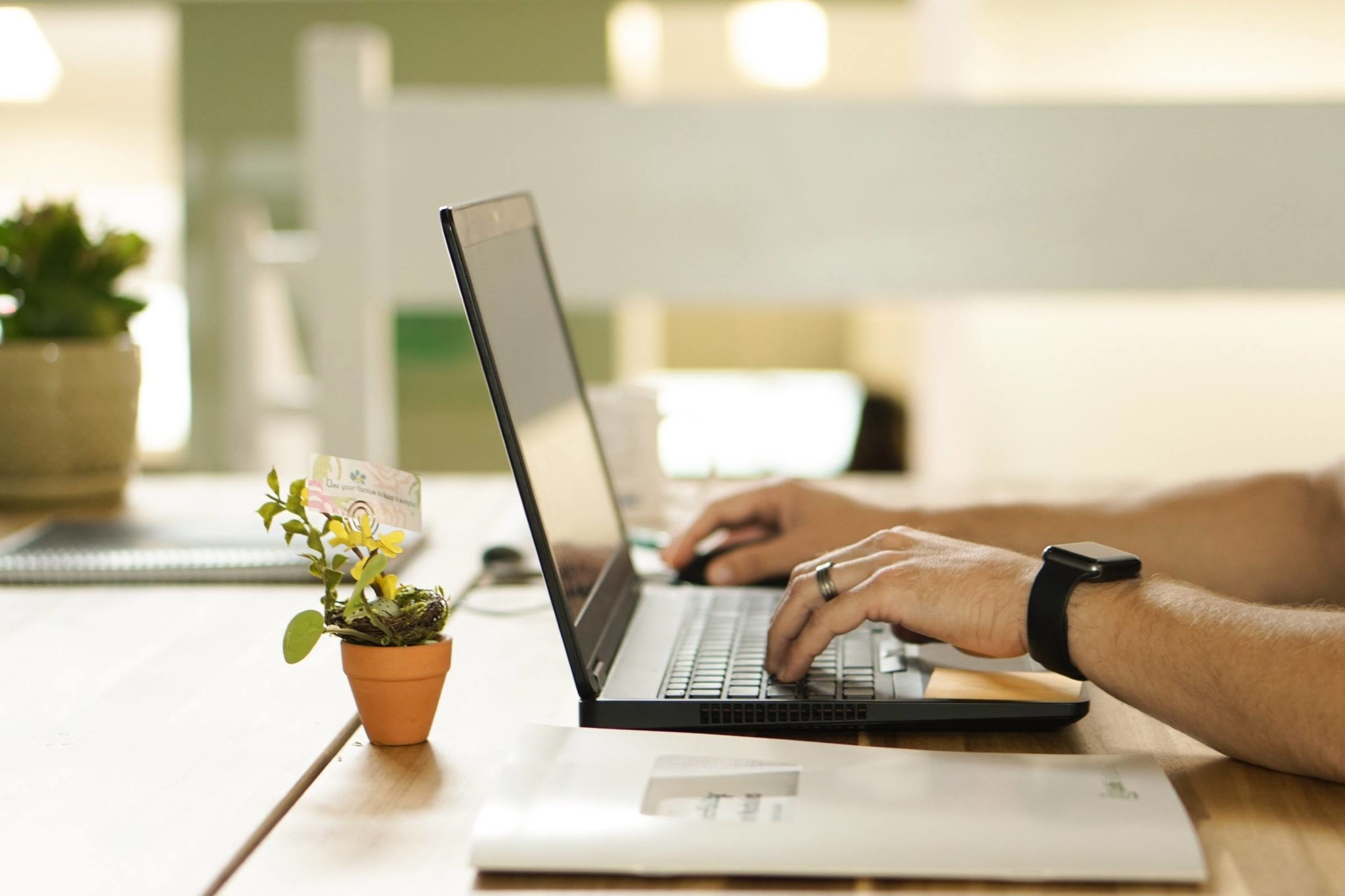 laptop_man_hands_plant_desk.jpg