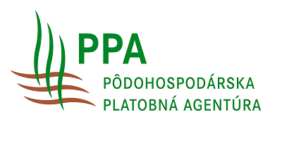 logo (2).png