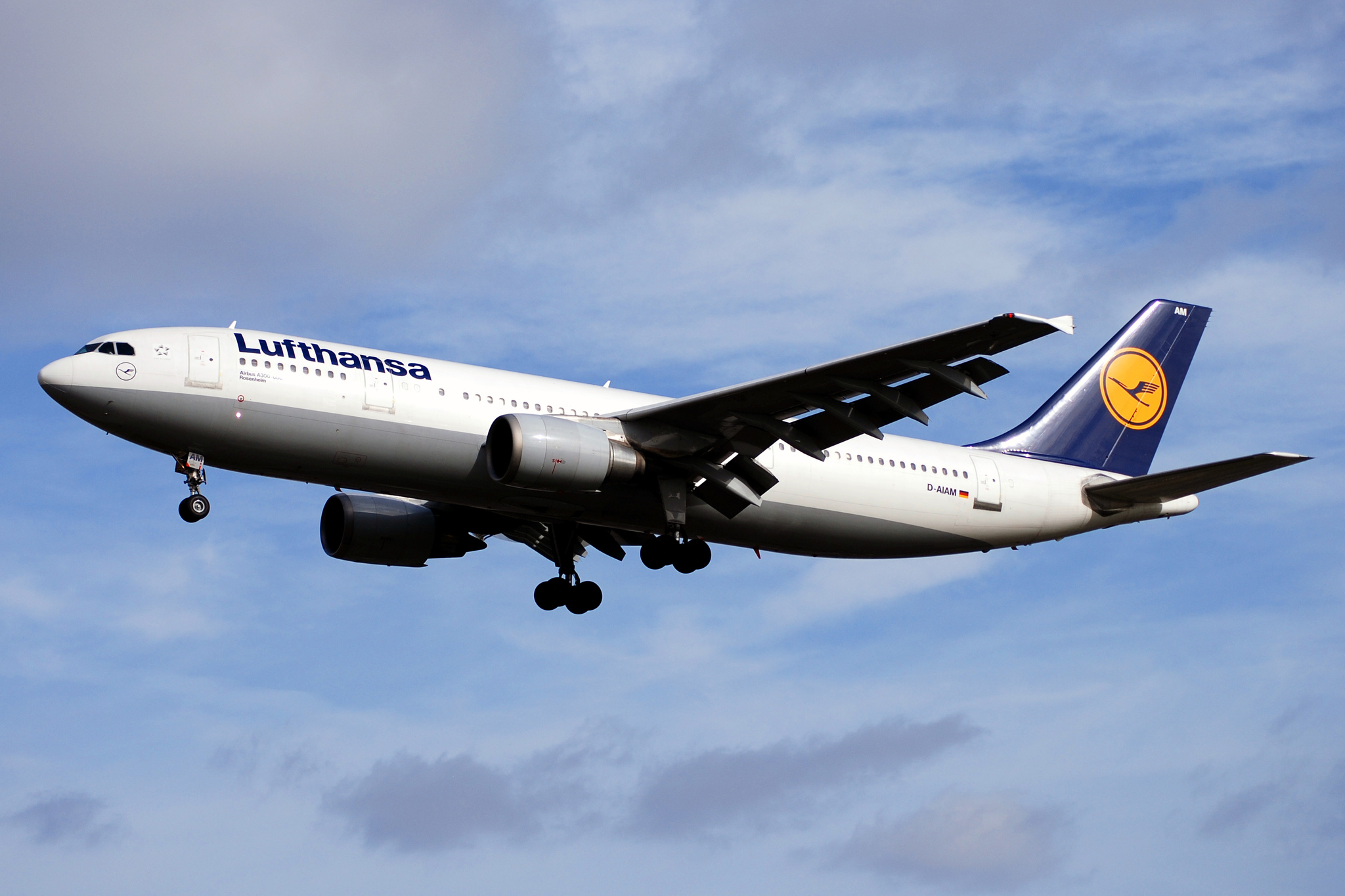 Lufthansa_A300_(2307892800).jpg
