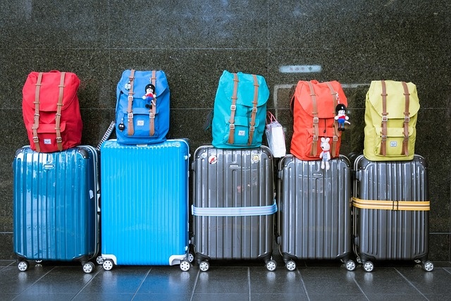luggage-gcd65f3814_640.jpg