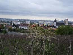 Rača BA.jpg