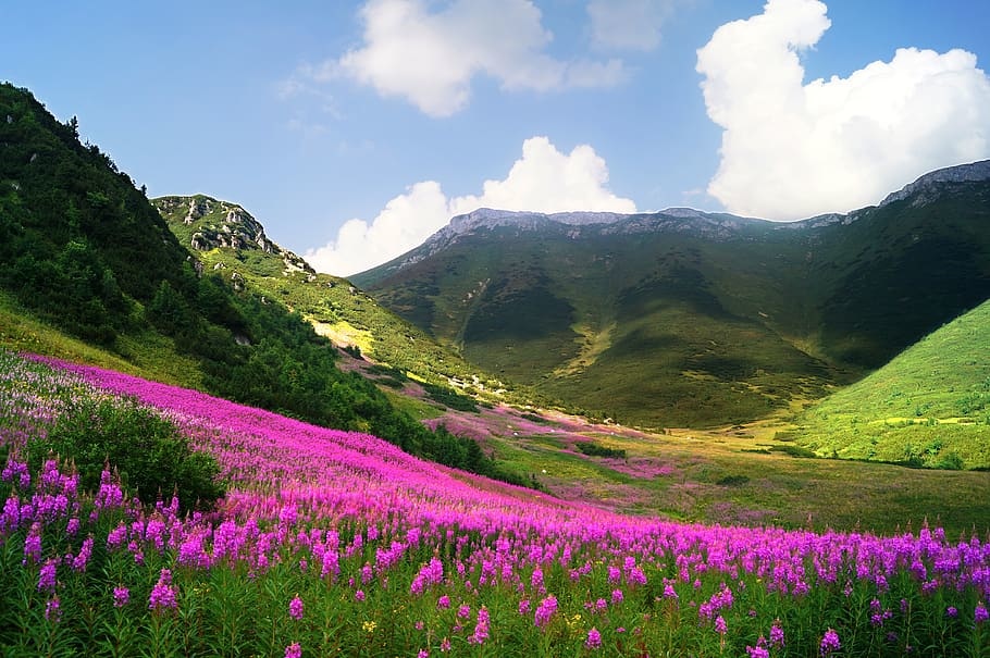 slovakia-high-tatras-la-landscape-nature-mountain.jpg