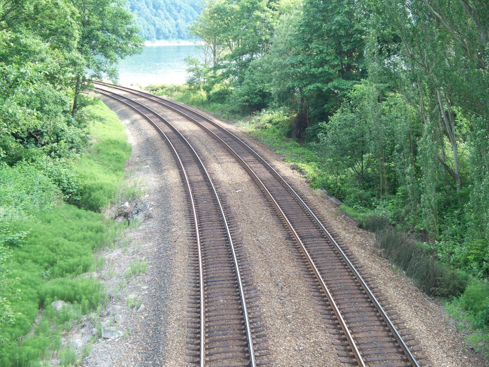 Twin_track_of_train_rails_in_a_wooded_area.jpg