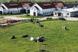 živočíšna výroba.jpg