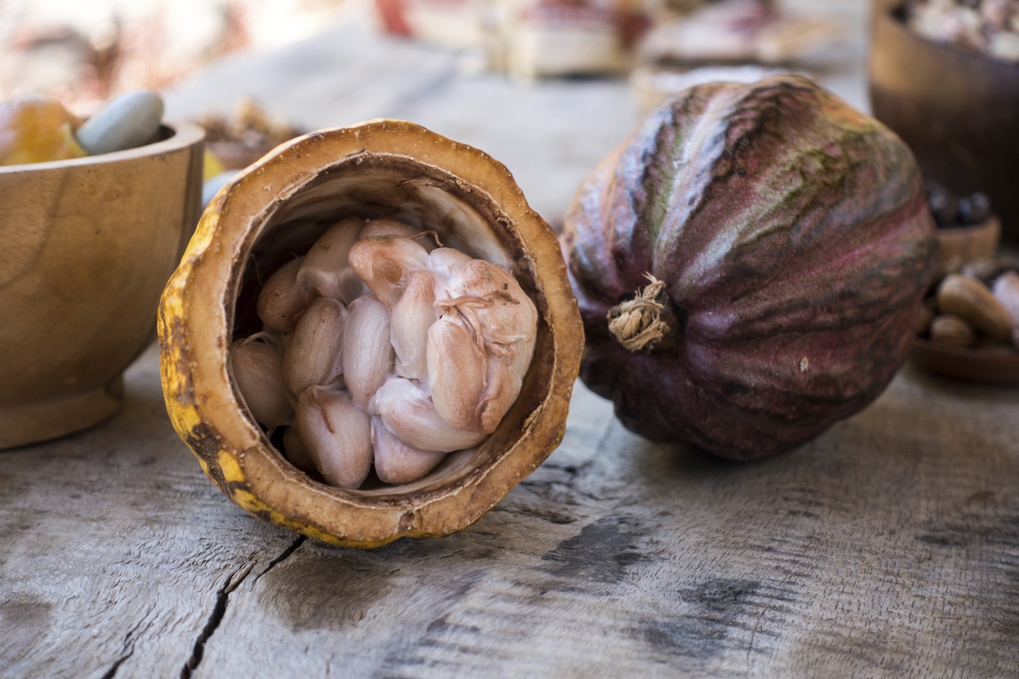cacao.jpeg