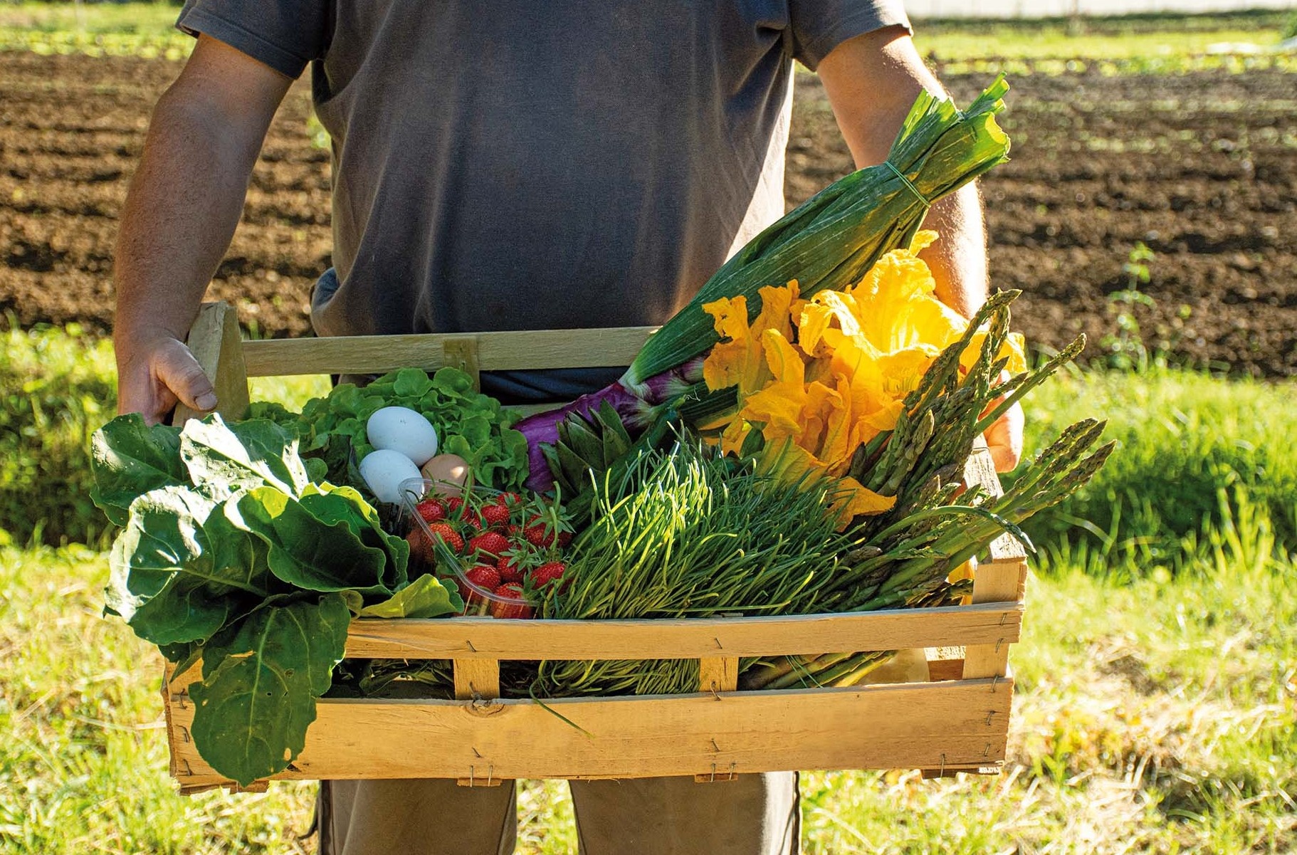 ciatoscana_agricoltore-prodotti.jpg