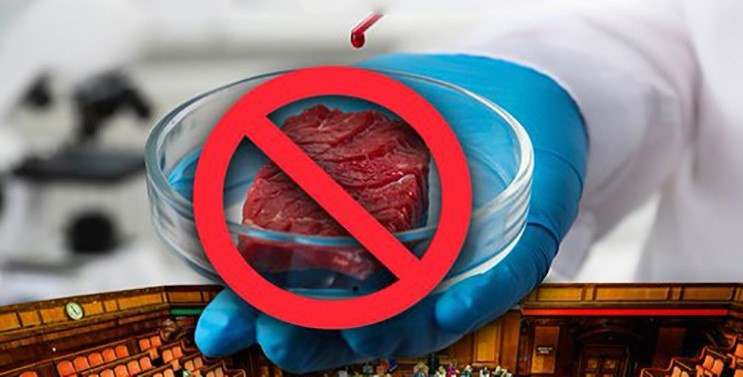 italia vieta cibo sintetico.jpg