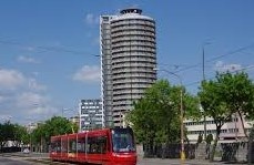Kukurica.jpg