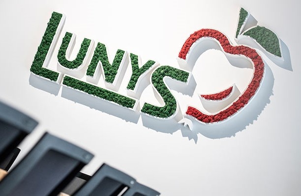 lunys.jpg