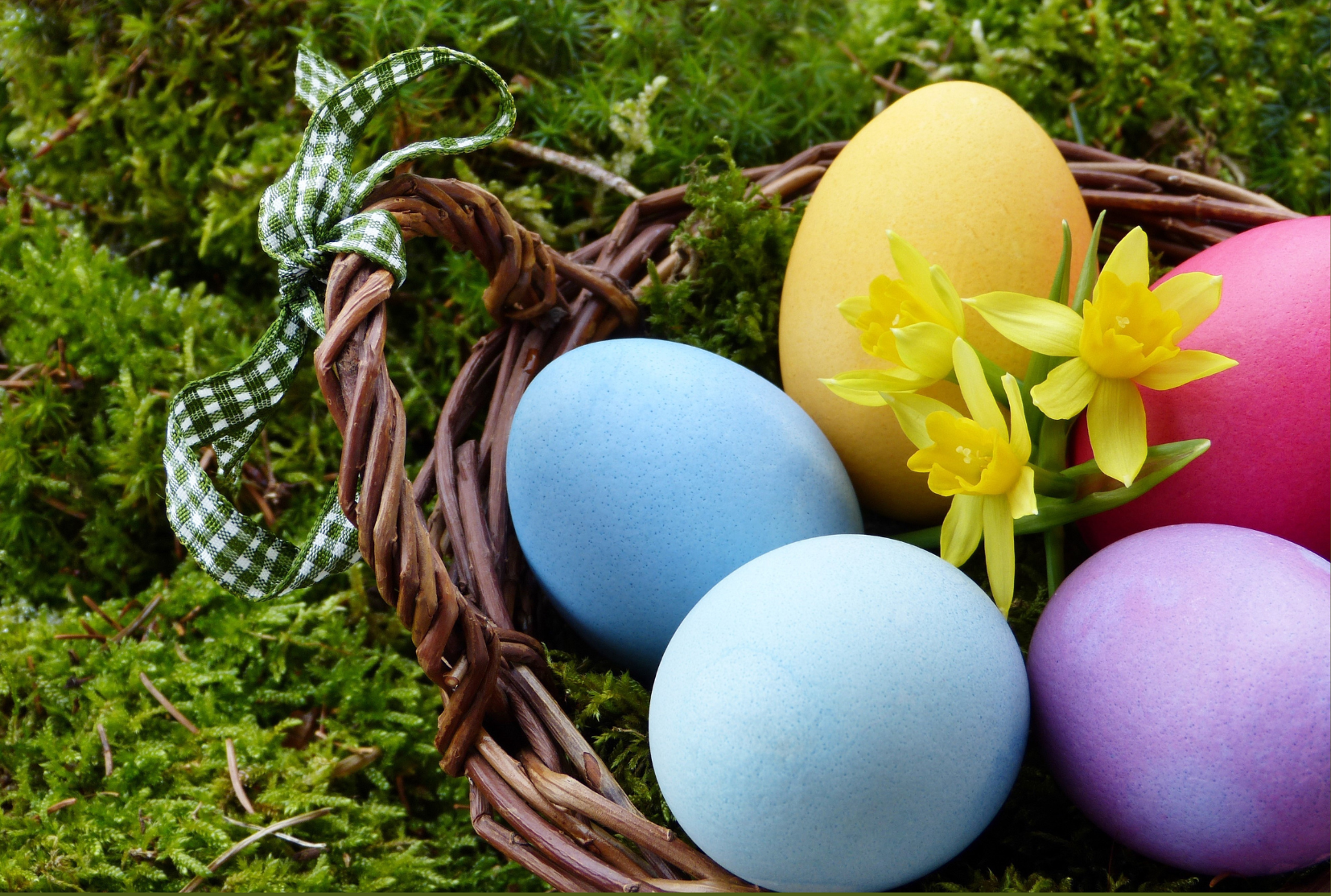 pasqua.png
