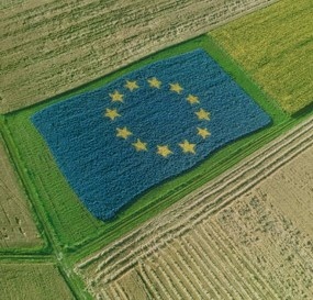prezzi terreni ue.jpg