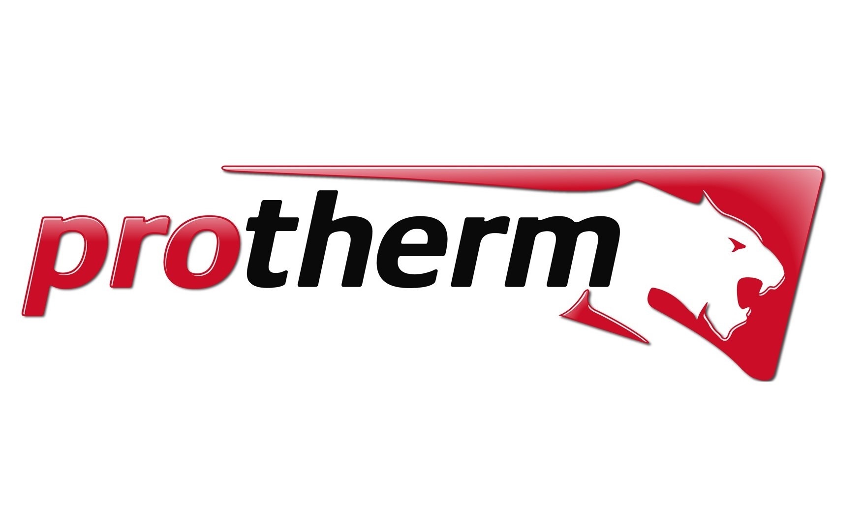 protherm logo.jpg
