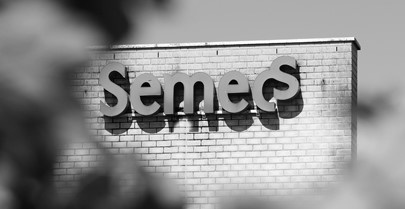 semecs.jpg