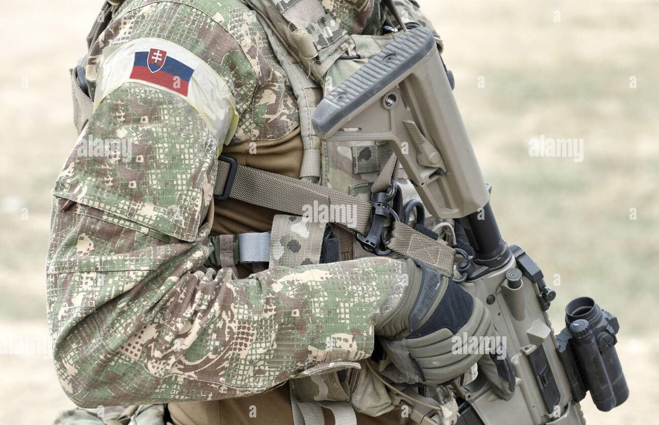 soldato-con-fucile-d-assalto-e-bandiera-della-slovacchia-su-uniforme-militare-collage-2f61any.jpg