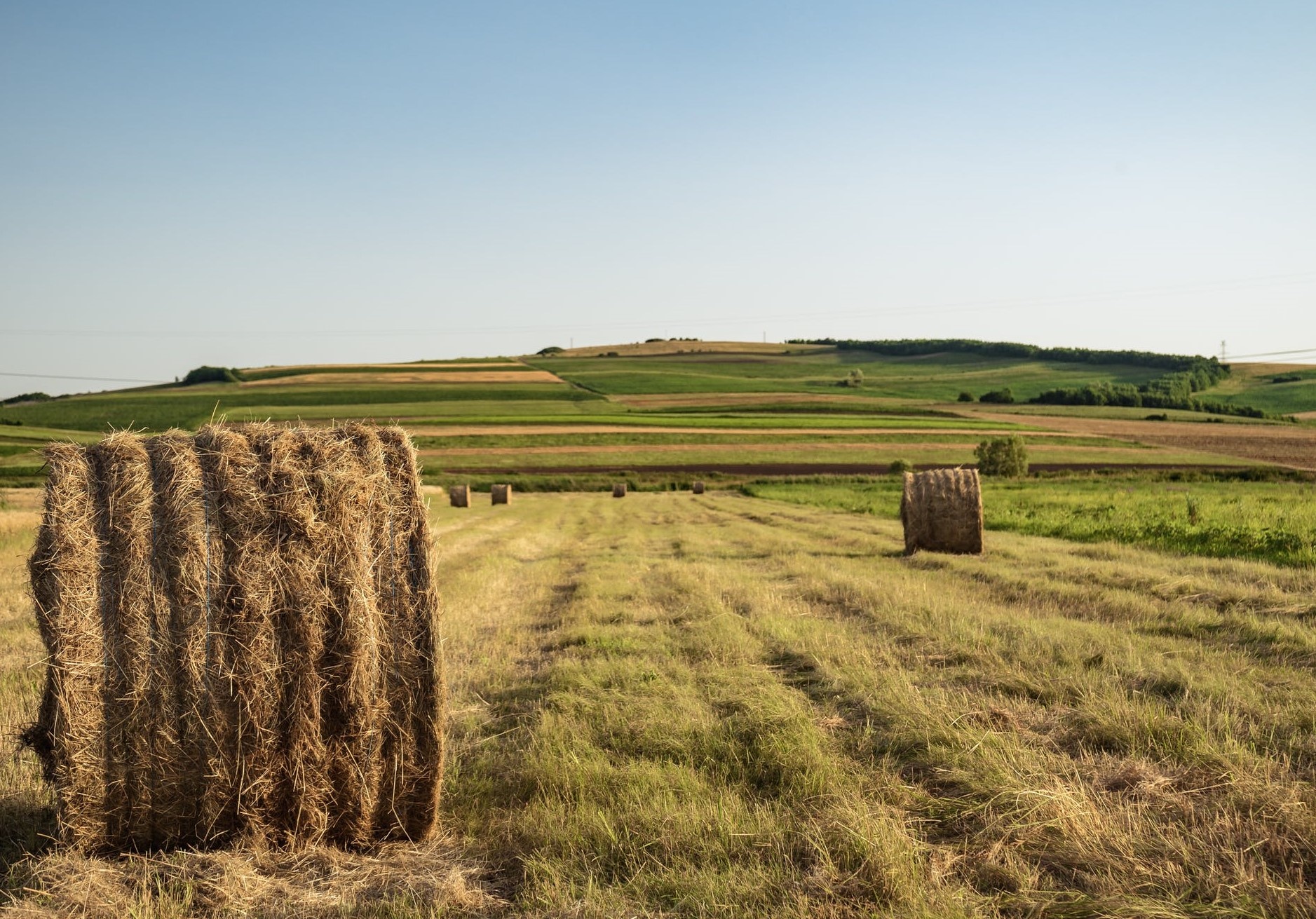 terreni agricoli.jpg