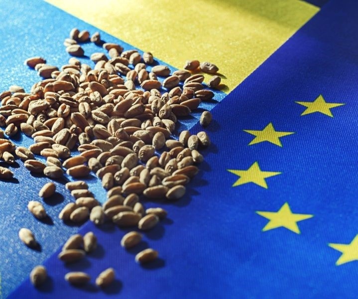 ucraina e grano.jpg