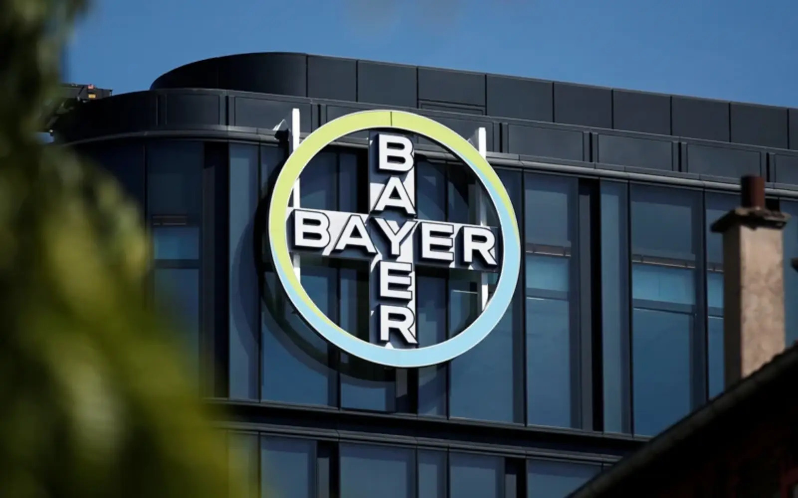 4ea27933-bayer-201123.jpeg