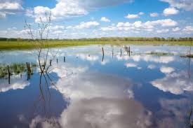 alluvione1.jpg
