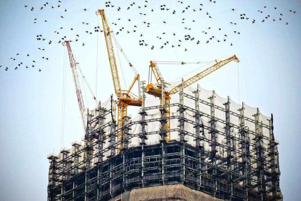 birds-flying-over-building-under-construction.jpg