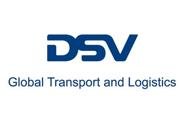 dsv logo 2.png