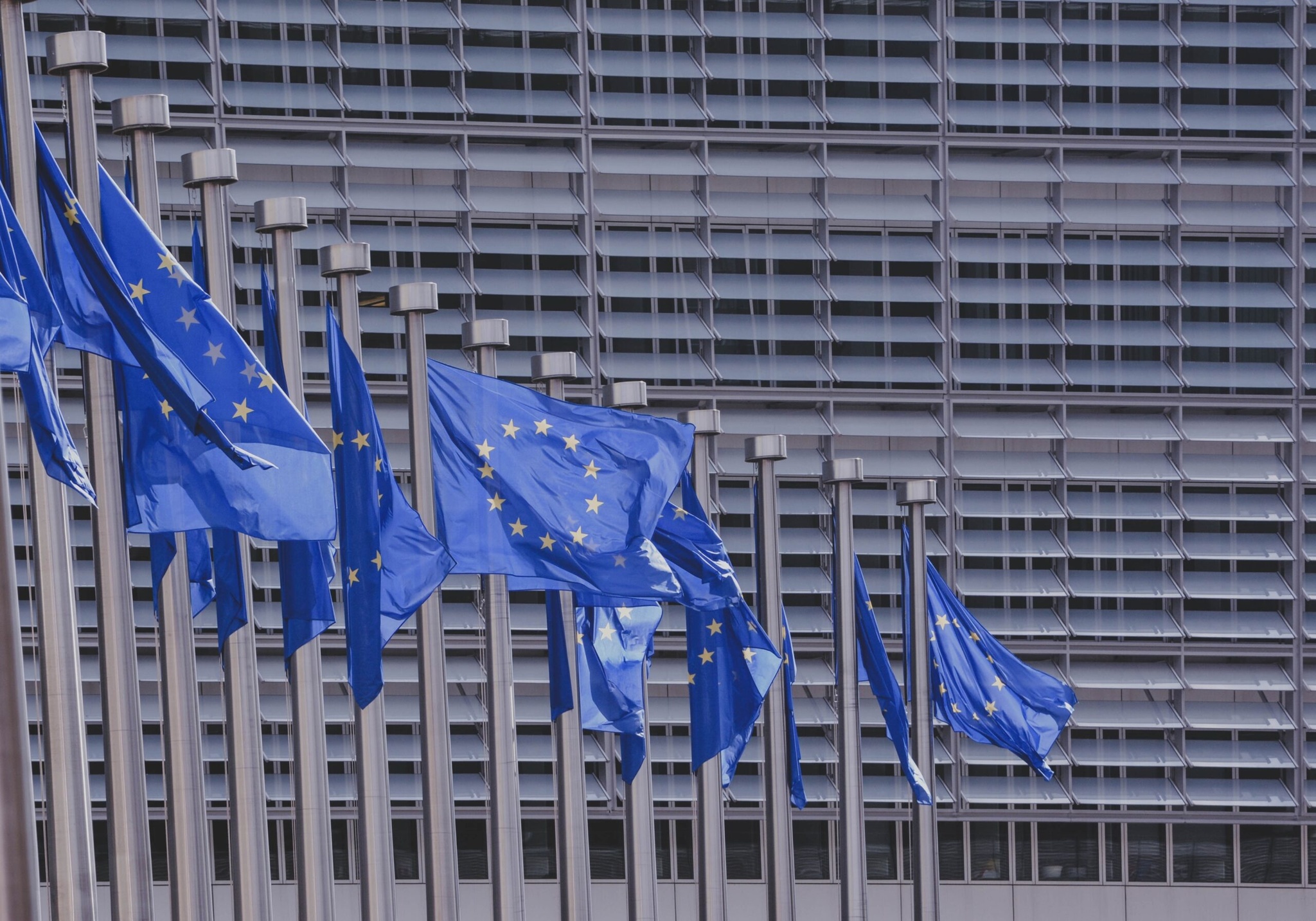 European-Union-flags-scaled.jpg