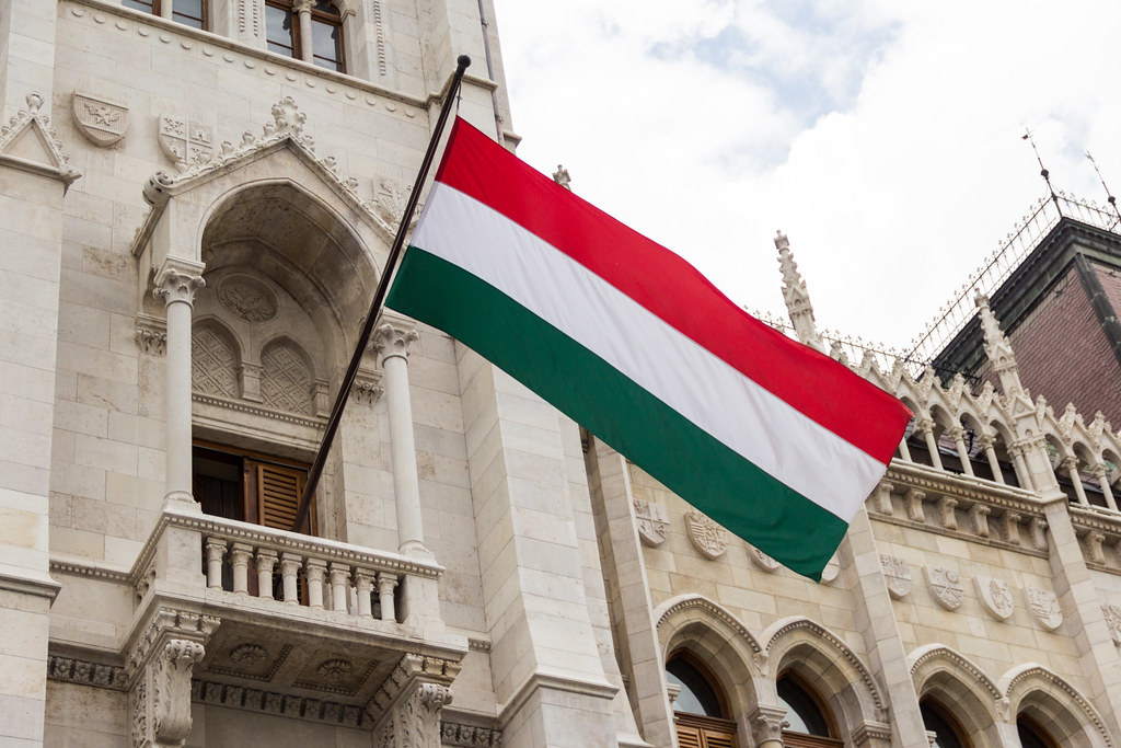 Hungarian flag2.jpg