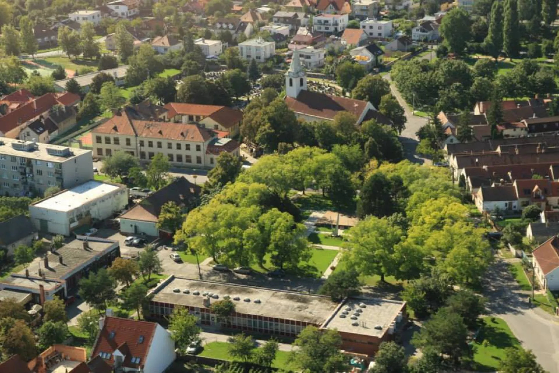 vajnory-zhora.jpg.webp.jpeg