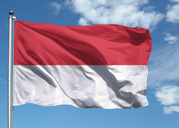 BANDIERA DI MONACO.PNG