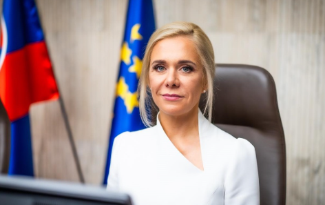 denisa sakova.PNG