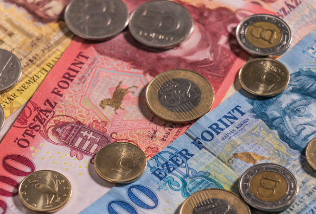 fiorini ungheresi.PNG