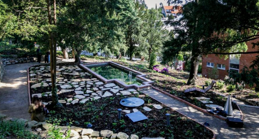 koch garden.PNG
