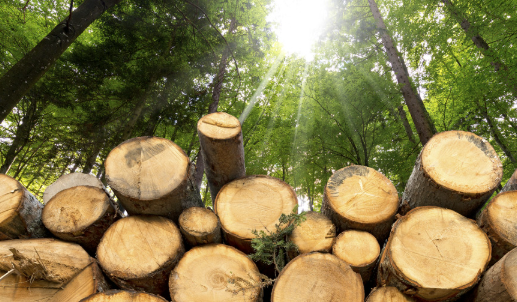 legno.PNG