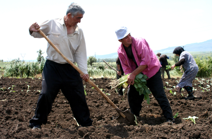 Screenshot 2026-04-15 at 12.15.03.png