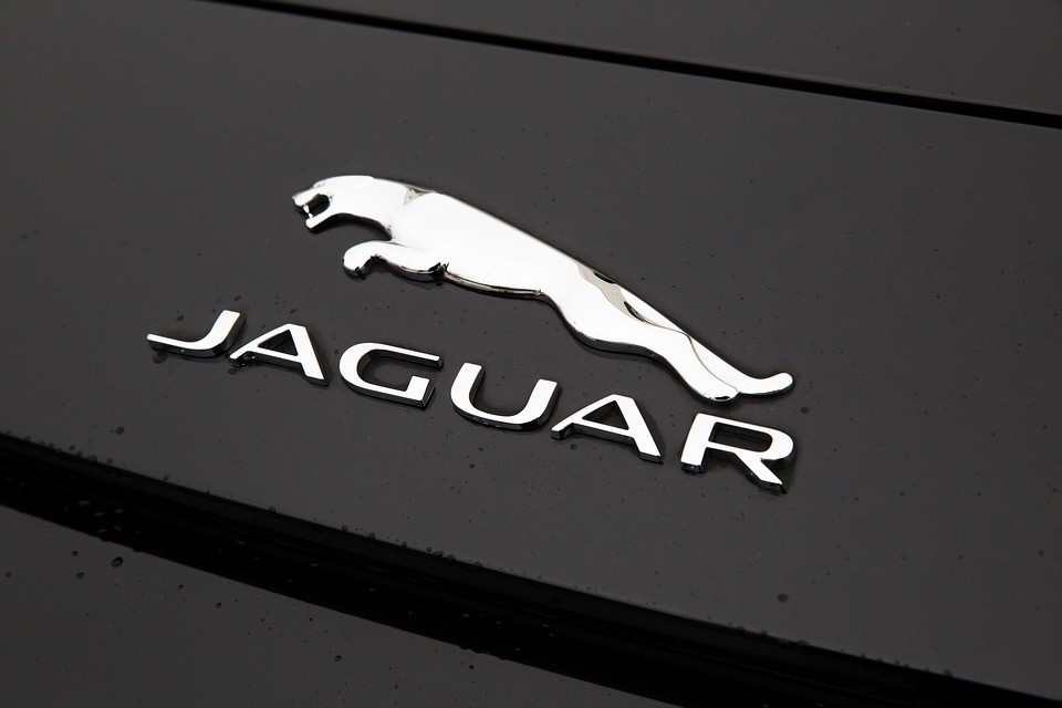 jaguar.jpg