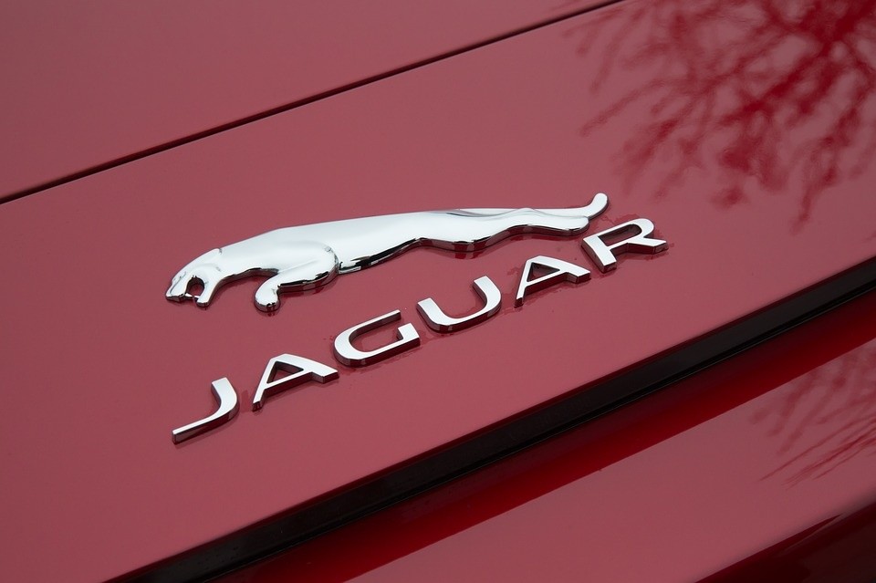 jaguar-1076201_960_720.jpg