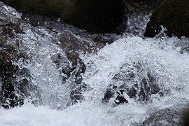water-1317903__180.jpg