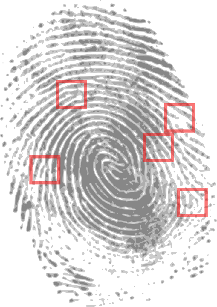 fingerprint-146242_1280.png