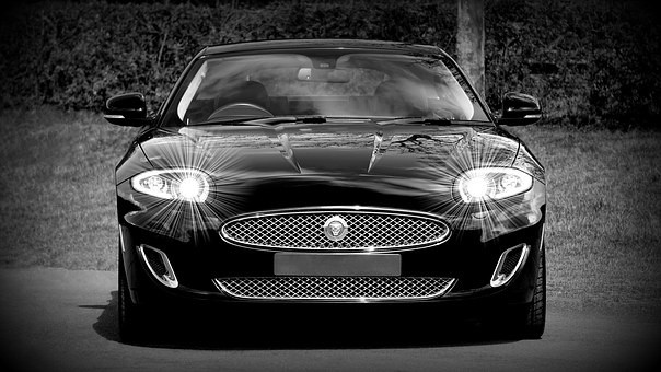 jaguar-1366978__340.jpg