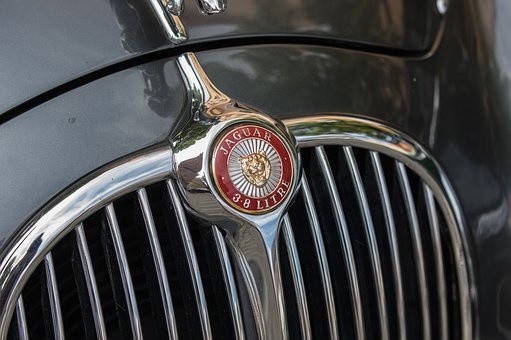 jaguar 2.jpg