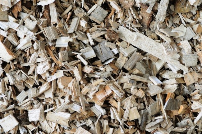 wood.jpg